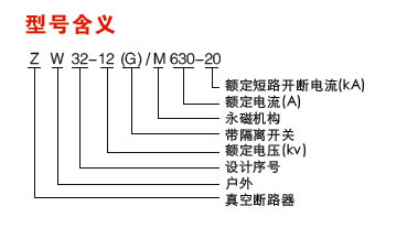 ZW32-12F看门狗智能分界开关型号