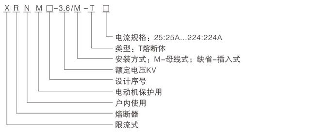 高压限流熔断器型号示意
